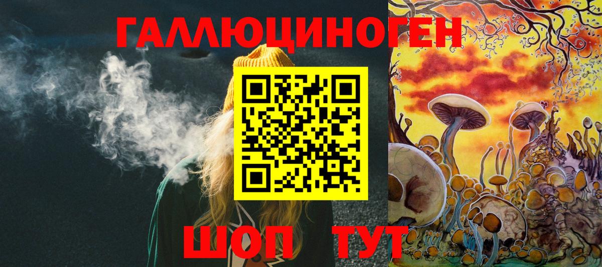 Элиста  Псилоцибиновые грибы Magic Shrooms  как найти закладки  Вход с VPN  Галлюциногенные грибы Cubensis 